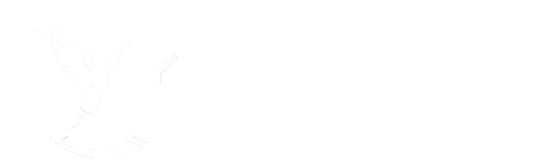 凝飞资本 Logo